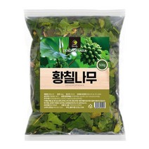 황칠나무 잎 가지 국내산 500g 완도 말린 건조 황칠 차 건재