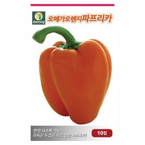 뱀 딸기 씨앗 1000립 - 뱀딸기 딸기키우기 야채씨앗 채소씨앗 채소재배 종묘 종자 베란다 텃밭 씨 씨앗 오이 호박 방울토마토 수박 참, 24_다농_오메가 오렌지파프리카(10립)