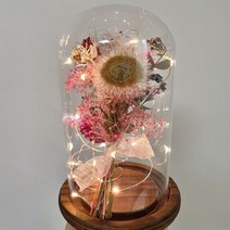 [플로비에] 시들지않는꽃 드라이플라워 임신축하꽃 프리저브드유리돔 초경선물 프리저브드 무드등 수유등