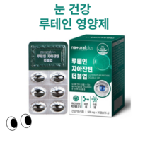 내추럴플러스 루테인지아잔틴 더블업 500mg 60/30캡슐, 2개