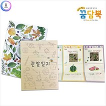 어린이집 자연 관찰일지 만들기 종이교구 플랩북 미술키트