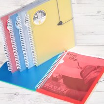 청운그린화일 L홀더 12매장착 스프링 레포트홀더화일 블루, 1개