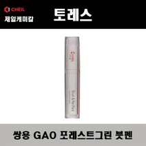쌍용 토레스 GAO 포레스트그린 주문붓펜 자동차 도색 차량용 카페인트