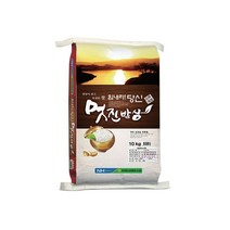 멋진밥상 흥양농협 쌀 10kg+10kg, 단일옵션