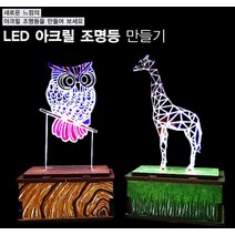 LED 아크릴 조명등 (소형-2 전구)LED 아크릴 조명등 소형2 전구 과학 과학교구 환경보호 과학교육 과학교재 초등교재 신재생 우드공작 미술공작 과학수업 탄소중, 본상품