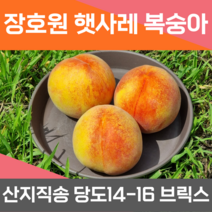 이천 장호원 햇사레 황도 백도 복숭아 말랑이 최상품 파치 파지 선물용 가정용 대과 4kg 산지직송 당일수확 당도 14-16브릭스, 14-15개 중과