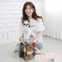 리토가토 러비 커스텀 캐릭터 강아지 하네스 + 리드줄 세트 옐로우 (컴퓨터 자수) 동물학교 추천, 핑크