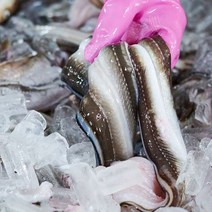 자연산 통영 바다장어 붕장어 아나고 손질 국거리바다장어, 자연산 바다장어 국거리 4미