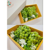 [백화점납품과일]초신선 당일경매입고 샤인머스켓3수 고당도 생일선물 기념일 선물세트/가락시장 최상급과일