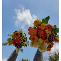 유스풀몰 꽃 농장직배송 정기배송 정기구독 화훼농가돕기 생화택배 꽃배달싼곳, 2주간격 6회배송