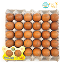 [에그웰] HACCP인증 무항생제 계란 농장직송 신선 대란, 대란30구, 1560g 이상