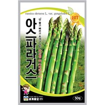 아스파라거스 씨앗 씨 종자, 사과참외, 1개