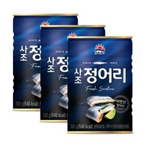 정어리 300g 3개 단백질 지방질 함량이 높은 자연산, 사조 정어리 300g X3개