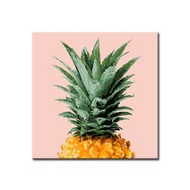 DIY캔버스페인팅 명화그리기 유화 세트 그림 액자, E53_보태니컬_파인애플