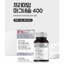 힐링팩토리 프리미엄 마그네슘 400 90정 2병 총 6개월분, 90정(3개월) x 2개, 1000개