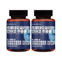 HACCP 해썹인증 프로테오글리칸 프리테오글리칸 연어코 추출물 정 UP 구절초추출물 보스웰리아 연골영양제 관절영양제 비변성 2형 콜라겐, 600mg 60정 2병, 2개