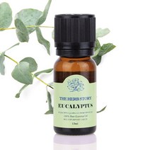 유칼립투스 아로마 에센셜 오일 12ml, 1, 본상품선택