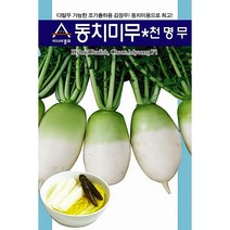 동치미무씨앗 2000알 무씨앗 천명무 김장무 씨앗 무씨