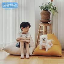 60수 피그먼트 빈백 소파 쿠션 5종 대형등쿠션 어린이빈백 유아빈백 강아지빈백 아이방빈백 원룸꾸미기 미니빈백 신혼부부 집들이선물 초코 그레이 차콜 베이지 민트