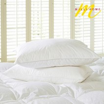 [ORDA] 사계절 60수 구스 베개솜, 단일속성