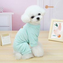 마일로앤코코 퓨어코튼 강아지 파자마 올인원 애견옷 강아지옷 맨투맨 실내복 잠옷 내복 봄옷 푸들옷 말티즈옷 (S/M/L/XL/XXL 민트/오렌지/그린), 민트