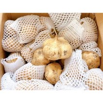 수입 히카마 베트남 산 히카마 2kg, 1박스