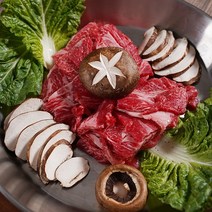 [기타브랜드] [제이제이푸드]1++ 한우 불고기 국거리 샤브용 외4종 250g, 종류:국거리용