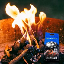 원콜바베큐 일반형 2kg 야자숯 챠콜 바베큐숯