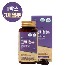 예비 부부 여성 임산부 임신중기 출산후 남성 성장기 청소년 유산균 배양 철분 비헴철 영양보충 영양제, 1박스 (90캡슐/3개월분)