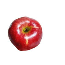 맛있는 부사사과 주스용, 2kg(인기), 5개