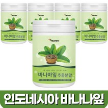 바나바잎 추출물 분말 가루 코로솔산 바나바 잎 추출 분말 앨라그산 파이토스테롤 어머니 아버지 바나나 바나바잎 차 티 물 샐러드 요거트, 100그램 (g) x 5통