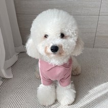그루밍독 반려동물 기능성 하이넥 이너 티셔츠, 핑크