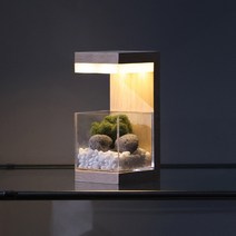 모던포인트 원목 플랜테리어 LED 식물 무드등, [12] 모스그레이 화산사 솔방울 SET, 어댑터, 브라운 멀바우