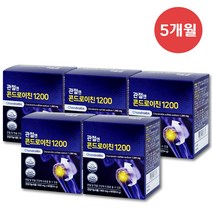 주영엔에스㈜ 관절엔 콘드로이친 1200, 60캡슐 5박스, 5개, 60정