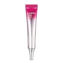 아이소이 블레미쉬 케어 스팟 25ml