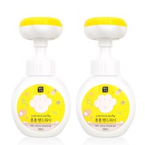 베리크린 고양이발모양 거품비누 핸드워시 본품 2개, 320ml