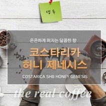 생두 코스타리카허니 제네시스 1kg.커피올데이