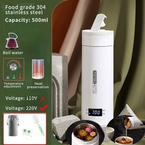 홍삼만들기 가정용 멀티쿠커 홍삼 달이기 약탕기 중탕기 휴대용 미니 전기 주전자 500ML 차 커피 주전자, 05 Luxury style Set_02 EU