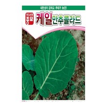 A-만추콜라드 10g