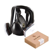 TAE WOL INSMA 6800전면형 방독면 방독마스크, 옵션1 마스크단품, 1개