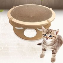 고양이 반려묘 잼볼 원목 스크래쳐 쉼터 하우스, 옵션