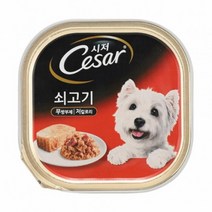시저 소고기맛 캔 습식사료 영양식 3개 애견습식사료