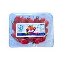 생생스토리 토망고 스테비아 대추 방울 토망고 500g, 1팩