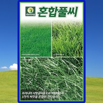 혼합풀씨앗 잔디씨 종자 1kg, 1개