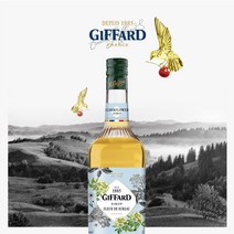 지파드 에이드 시럽 1L GIFFARD 카페용 업소용 라임 레몬 자몽 모히또 블루큐라소 엘더플라워 구아바 레몬그라스