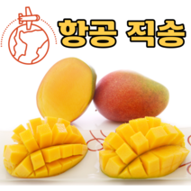 항공 직항 페루/브라질 프리미엄 대과 애플망고 2kg 4kg 고당도 열대과일, 4kg내외(7~10과)