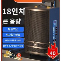 고출력 무선 블루투스 스피커 연주 식당 노래 마이크, 18인치스피커, 1개