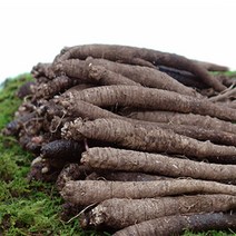 후금이네 국산 100% 향이진한 참 더덕, 1개, 더덕 중 1kg