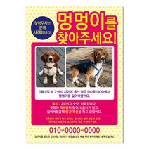 반려견찾기애완실종전단지 고양이 실종 강아지를찾아주세요 디자인무료, 샘플4, 100매