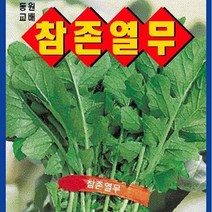 [가람종묘사] 참존열무씨앗25g(상품성이 우수하고 단묶음이 용이한 품종)